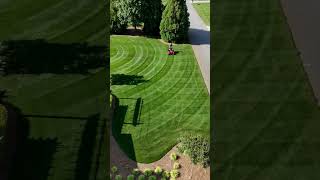 Tall Fescue Single Double Crop Circles lawnstripes gciturf [upl. by Adnovahs]