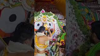 He Kala Madhaba🙇🙇🙏 2024 jayjagannath puridevotional love viralvideo shorts [upl. by Barden]