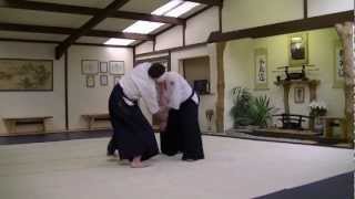 Ushiro Ryote Dori Shiho Nage Variation [upl. by Just]