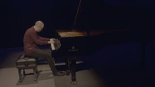 Amos Lucidi plays Debussy Poisson dOr [upl. by Curtice]