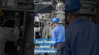 Coal Feeder motor maintenance [upl. by Menendez]