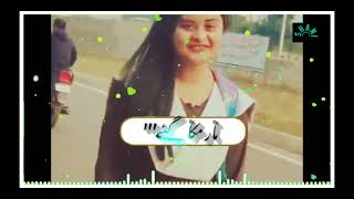 qsmy maidy dill koun bhaa gay lyrics saraiki song [upl. by Tongue234]