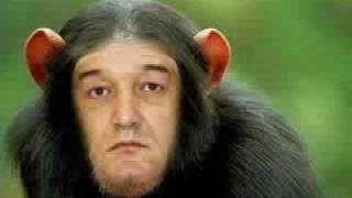 Parodie Muzicala  Gigi Becali [upl. by Bryan111]