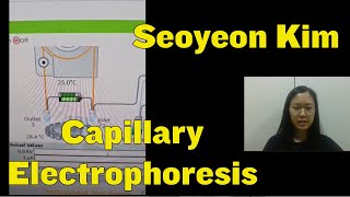 Capillary Electrophoresis — Seoyeon [upl. by Goer]