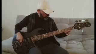 Pupilas de gato  Luis Miguel bass cover [upl. by Beniamino639]