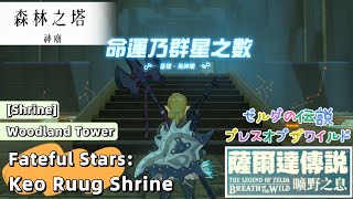 【NS】薩爾達傳說曠野之息命運乃群星之數基耀•烏神廟 The Legend of Zelda BotW  Fateful Stars Keo Ruug Shrine [upl. by Airdnaid]