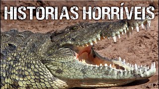 Os Ataques Mais Terríveis de CROCODILOS de Todos os Tempos  Maratona Ep 03 [upl. by Anilrahc852]