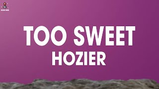 Hozier  Too Sweet Lyrics quotyoure too sweet for me hozierquot [upl. by Ahsenod798]