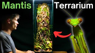 I Made A Tree Trunk Terrarium For a Praying Mantis Here’s How [upl. by Ycnaffit]