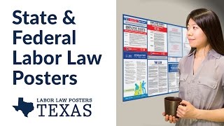 Texas State and Federal Labor Law Poster Video [upl. by Rosalynd]