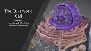 The Eukaryotic Cell [upl. by Cody]