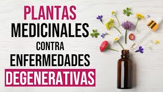 🌿8 PLANTAS Medicinales ALIADAS CONTRA Enfermedades DEGENERATIVAS  Niraldo Paulino [upl. by Atsyrt400]