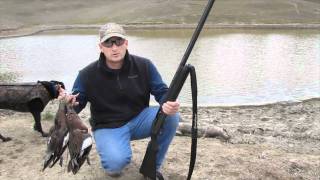 How to Jump Shoot Ducks on a Pond [upl. by Digdirb670]