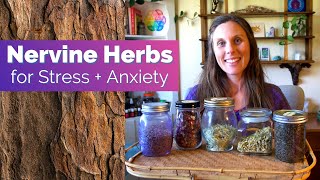 Nervine Herbs for Stress and Anxiety [upl. by Mutz]