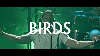 Imagine Dragons  Birds  LIVE in Vegas [upl. by Arinaid]