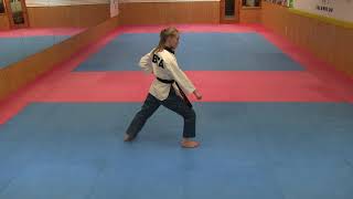 Taekwondo Poomsae Kibon 1 TKD Form [upl. by Regdor]