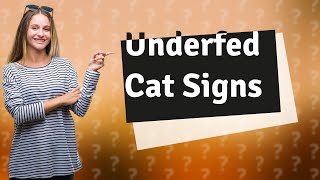 How do you know if I am underfeeding my cat [upl. by Edras]