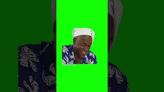 Hehe Boi meme Green Screen shorts memes [upl. by Desta]