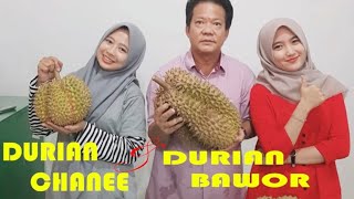 DURIAN CHANEE amp DURIAN BAWOR [upl. by Nue]