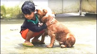 Cocker Spaniel Training At Action Dogs [upl. by Sarena]