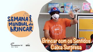 Semana Mundial do Brincar  Brincar com os Sentidos  Caixa Surpresa [upl. by Oilasor]