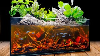 Blackwater Riparium for Blue Tetras in the IKEA Aquarium [upl. by Lunetta260]