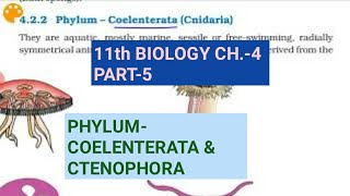 Class 11 BiologyCh4 Part5Phylum Coelenterata amp CtenophoraStudy with Farru [upl. by Yvette]