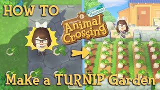 How to make a TURNIP Garden  Animal Crossing New Horizons [upl. by Isoais224]