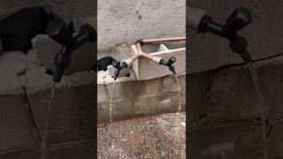 How to install two taps in one pipe shortsbeta shortvideo shorts plumbingpipe plumbing [upl. by Hairacaz981]