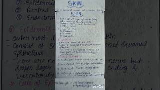 Skin  Anatomy and physiology humanskin skinanatomy skinphysiologyskinnotesshotrsviralvideo [upl. by Allebara]