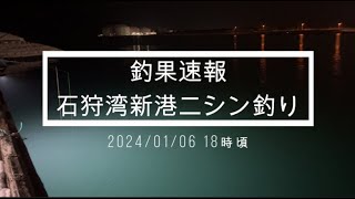 【釣果速報】20240106速報石狩湾新港ニシン釣り [upl. by Norse]