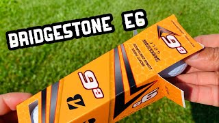 Bridgestone e6 vs ProV1X  Golf Ball Review [upl. by Korenblat]