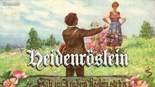 Heidenröslein German folk songEnglish translation [upl. by Brigette473]