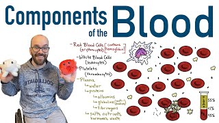 Components of Blood [upl. by Aicirtam]