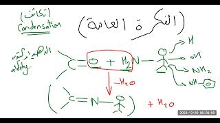 تفاعلات الألدهيدات والكيتونات مع مشتقات امونيا Reaction of aldehydes amp ketones with NH3 derivatives [upl. by Lenaj]