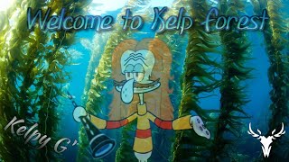 Kelpy G  Welcome to Kelp Forest  Smooth Jazz Remix [upl. by Liv]