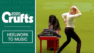 International Freestyle Heelwork To Music  Part 3  Crufts 2020 [upl. by Armanda925]