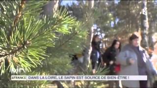 LA DÉCOUVERTE DE NATHALIE  Dans la Loire le sapin est source de bienêtre [upl. by Schroer813]