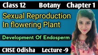 Development Of Endosperm Sexual Reproduction In Flowering Plant Lecture 9 CHSE Odisha [upl. by Hgielrak918]