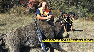 TOP 10 WILD BOAR HUNTING SHOTS  FLASHBACK [upl. by Gibun]