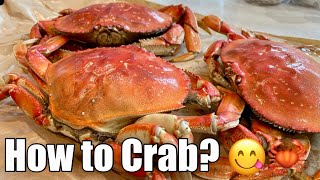 How to Cook and Shell Crab Dungeness Crab Breakdown 😋 [upl. by Elleivap]