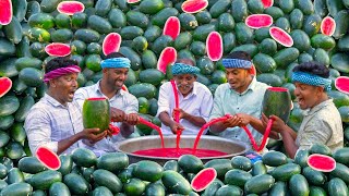 WATERMELON MILKSHAKE  Summer Healthy Drinks  Fresh Watermelon Juice Making in Village [upl. by Kerman]