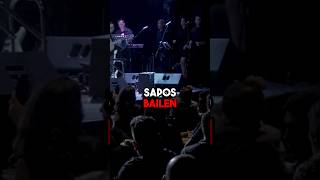 Cuando los sapos bailen flamenco🐸🦩✨ michelelbuenon salsa musica salsadominicana music [upl. by Iamhaj]