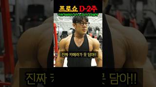 대회 2주 남은 IFBB 프로 역대급 몸상태 대공개 ㅎㄷㄷ feat 212 원종윤 오픈 김영범 [upl. by Norine]