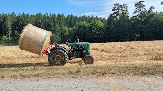 Strohernte 2023 mit Landini Blizzard 65 und Steyr t80 tractor satisfying [upl. by Aierdna571]