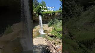 Scheidegger Wasserfall blumennatur wasserfall [upl. by Beard]