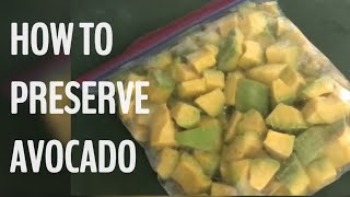 HOW TO PRESERVE AVOCADO [upl. by Ahdar]