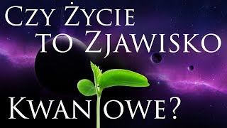 BIOLOGIA KWANTOWA  WPROWADZENIE Polski Dokument BaldTV [upl. by Adnawuj]