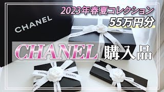 【シャネル購入品】2023春夏コレクション🌸55万円分✨バッグampレア小物【CHANEL】 [upl. by Yvor742]