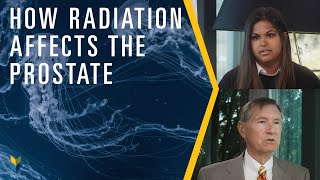 How Radiation Affects The Prostate  Mark Scholz MD [upl. by Gilda668]